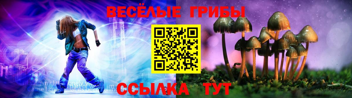 Псилоцибиновые грибы Magic Shrooms Грозный
