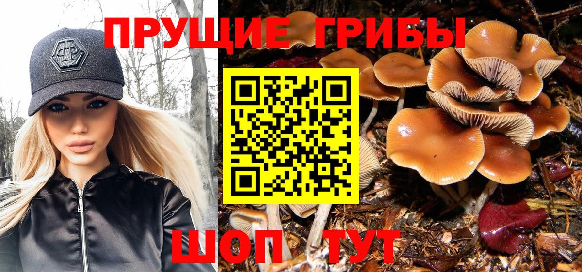 Псилоцибиновые грибы Magic Shrooms  Вход с VPN  Грозный 
