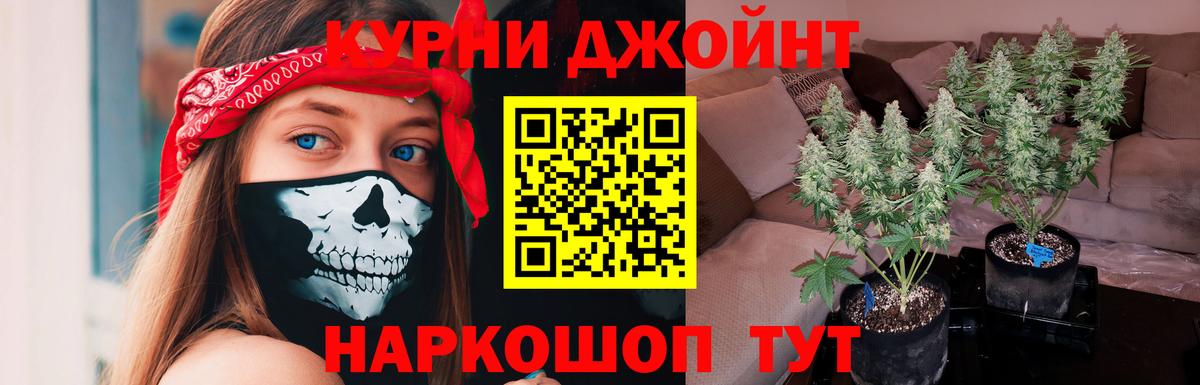 Каннабис марихуана Грозный